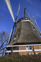 Rural windmill with thatched roof and white wings, blue sky and bare trees in the background, old