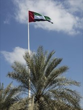 The national flag high on a mast, flanked by a palm tree against a blue sky with white clouds,