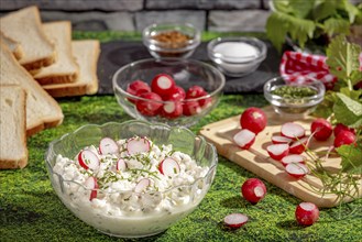 Fresh spread of radishes, cottage cheese and spices surrounded by ingredients and slices of bread