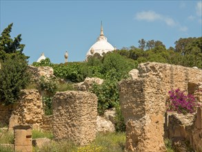 Overview of ancient ruins, in the background a white dome and lush vegetation, Tunis in Africa with
