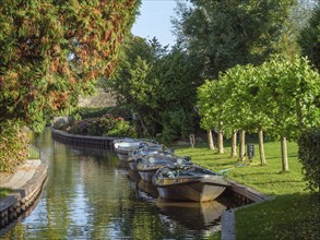 Boats are docked along a quiet canal, surrounded by trees and lush greenery, boats on small canals