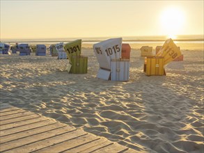 Several colourful beach chairs standing in order in the sand while the sun illuminates the horizon,