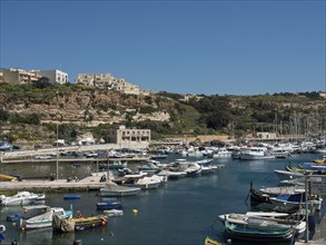 A quiet harbour with many sailing ships and fishing boats, surrounded by a hilly coastline and