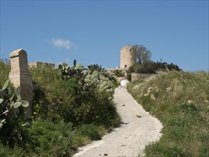 A medieval tower on a hill flanked by cacti and a rural path on a clear day, the island of Gozo