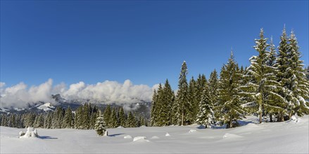 Panorama Hoehenweg, Kleinwalsertal, Allgaeu Alps, Vorarlberg, Austria, Europe