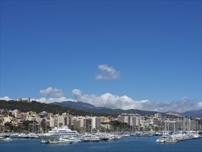 City view with harbour full of yachts and boats, surrounded by buildings and mountains under a blue