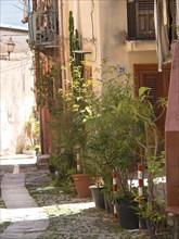 Sunny narrow alley in an old town, lined with buildings and numerous plants in pots, palermo in