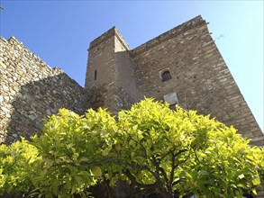 Historic castle wall with a high tower surrounded by green leaves, under a blue sky and bright
