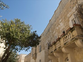 Street scene with old buildings and trees under a blue sky, the town of mdina on the island of