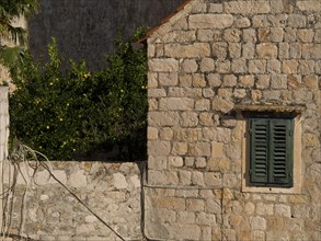 Detailed view of a stone wall with shutters framed by mediterranean vegetation, the old town of
