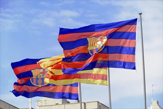Several flags waving in the wind against the blue sky, Barcelona, Catalonia, Spain, Europe