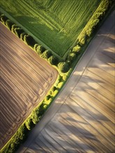 Field hedges from above, between the fields serve as biotope and protection against soil erosion,