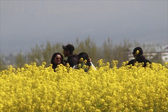 Group of people standing in a beautiful field of yellow flowers on a cloudy day