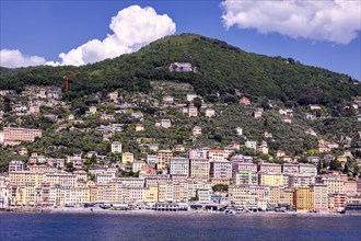 Camogli seen from the sea, Liguaia, Italy, Europe