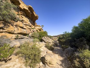 Hiking trail Sevilla Art Rock Trail, dry landscape with yellow rocks, Cederberg Mountains, near