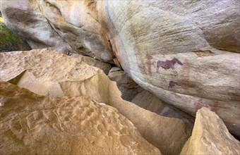 Prehistoric animal depictions on a rock, San rock paintings, Sevilla Art Rock Trail, Cederberg