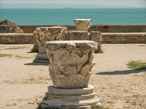 Ancient ruins overlooking the sea and historic columns on a sandy area, Tunis in Africa with ruins