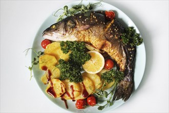 Grilled fish served with roasted potatoes, cherry tomatoes, fresh parsley and a lemon slice on a