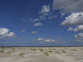 Open beach with scattered dunes under a blue sky with clouds and sea view, Baltrum Germany