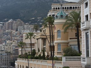 An elegant building with palm trees in front of a mountain with many residential buildings and a