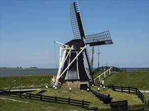 Black windmill on a grassy area against a blue sky, a traditional rural setting, Enkhuizen,