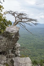 Overlook along the Pulpit Rock Trail in Cheaha State Park, Alabama, USA, United States of America,