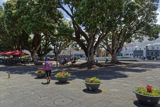 A spacious square with large trees, colourful flowers in boxes and people visiting a nearby cafe,