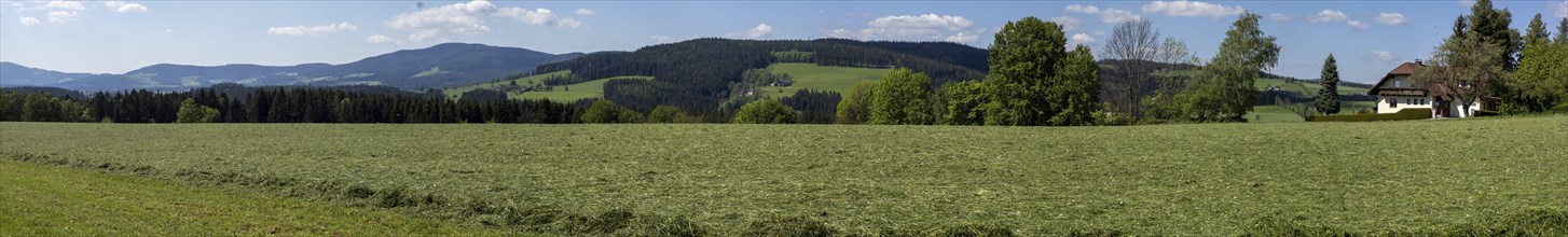 Freshly mown meadow. hilly landscape, meadows and forest, Joglland, panoramic view, near St. Jakob