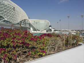 Flower bed in front of modern buildings under a sunny sky with stadium lighting, Abu Dhabi, Arab