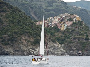 A sailboat sails in front of a coastal town with colourful houses on hills, Bari, Italy, Europe