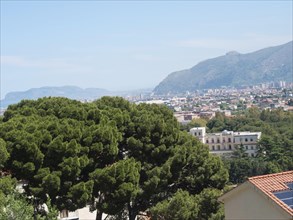 Panoramic view of a city surrounded by green mountains and trees, clear weather, palermo in sicily