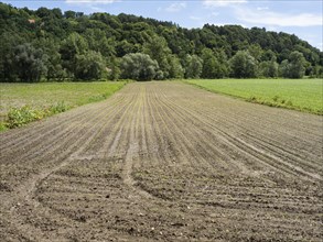 Farmland at the edge of the forest, near Heimschuh, Styria, Austria, Europe