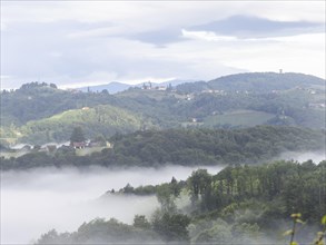 Fog over hilly landscape, wine region Sausal, view from Silberberg, near Leibnitz, Styria, Austria,