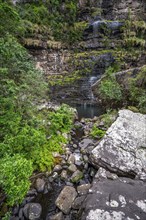 Motitsi Falls in the Graskop Gorge or Graskopkloof, Graskop, Mpumalanga, South Africa, Africa