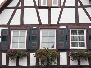 Half-timbered house with red shutters and flower boxes under the windows, kandel, germany