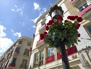 Street lamp with red flowers in front of buildings with balconies and shutters, under blue sky with