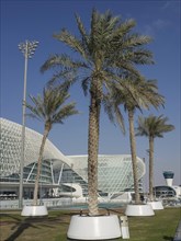 Tall palm trees in front of a modern building with lattices and a spacious green area, Abu Dhabi,