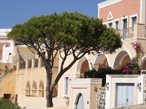 A tree and a building in Mediterranean style with flowers under a blue sky, The volcanic island of