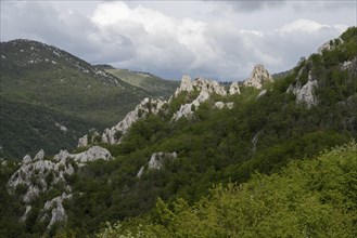 Typical limestone cliffs, Velebit nature park Park, Zadar, Dalmatia, Croatia, Europe