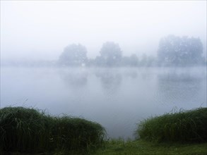 Fog over a lake, Sulmsee, near Leibnitz, Styria, Austria, Europe