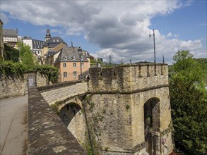 Historic bridge and buildings in an old town with cloudy sky and green nature, view of a historic