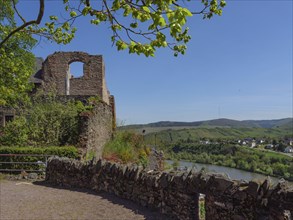 Historic castle ruins overlooking a river, surrounded by green hills and trees on a clear, sunny