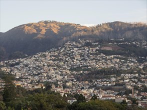 A hilly urban landscape with densely populated houses along the mountain slopes at sunset, Madeira,