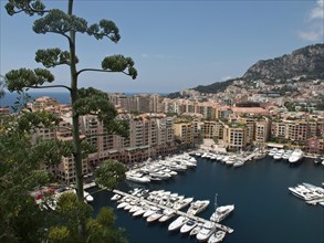 Marina with many boats, surrounded by buildings and mountains on the coast, monaco on the French