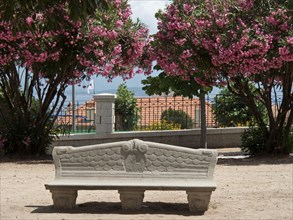 Stone bench in the park between two blossoming trees with pink flowers, Corsica, Ajaccio, France,