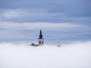 Church tower rises out of the morning mist, Frauenberg pilgrimage church, near Leibnitz, Styria,