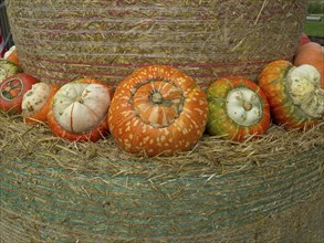 Pumpkins in different colours in front of a large bundle of straw as decoration, many colourful