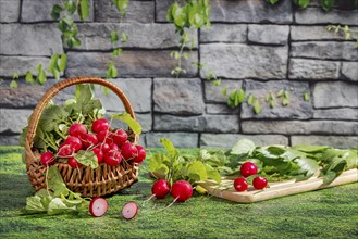 A basket of fresh radishes and a chopping board with herbs on a grassy area in front of a stone
