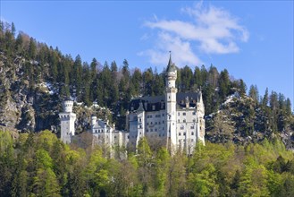Neuschwanstein Castle in spring, Schwangau, Ostallgaeu, Allgaeu, Swabia, Upper Bavaria, Bavaria,
