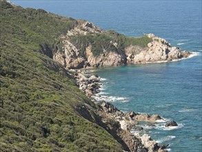 Coast with rocky cliffs and lush vegetation flowing into the turquoise blue sea, Corsica, Ajaccio,